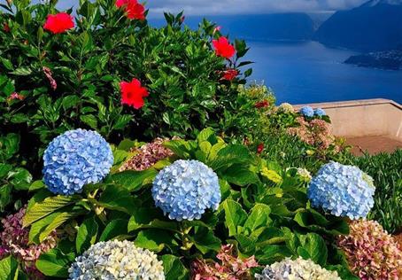 To nejlepší z Madeiry a květinové slavnosti, výlety v ceně