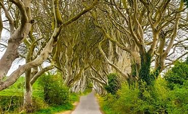 Smaragdová stezka Severním Irskem a Irskem_dvoulůžkový pokoj s pristylkou