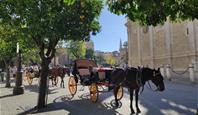 Sevilla, perla Andalusie