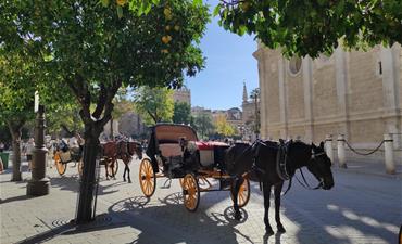 Sevilla, perla Andalusie_dvoulůžkový pokoj bez pristylky