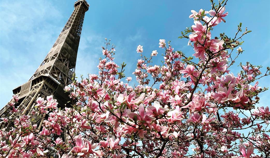 Rozkvetlá Paříž a královské Versailles