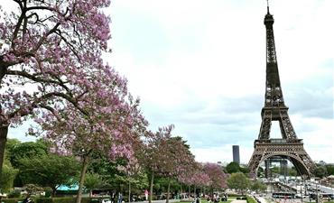 Rozkvetlá Paříž a královské Versailles_dvoulůžkový pokoj bez pristylky