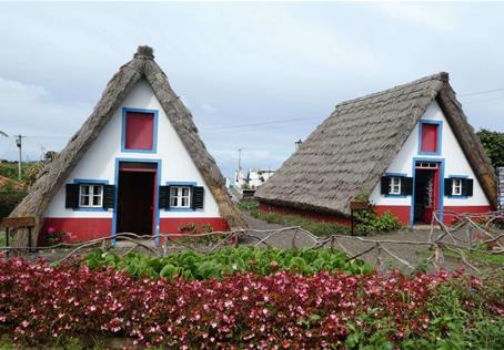 Madeira ostrov květů a slunce, letecky z Brna