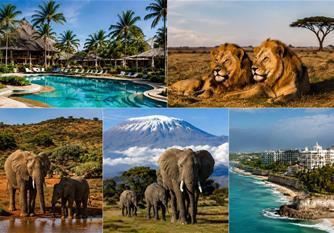Vůně Afriky – Keňa a safari s českým průvodcem