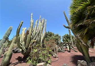 Klenoty Lanzarote a Fueventury letecky z Prahy
