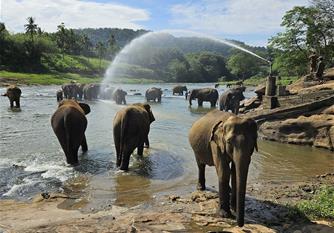 Okruh Srí Lankou komfortně a relax v hotelu all inclusive
