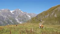 Krásy Rakouských Alp 