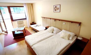 Hotel Ambra 4, Luhačovice, Valašský víkend, polopenze a procedury_dvoulůžkový pokoj s pristylkou