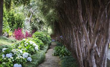 Madeira ostrov květů a slunce, letecky z Brna_dvoulůžkový pokoj bez pristylky